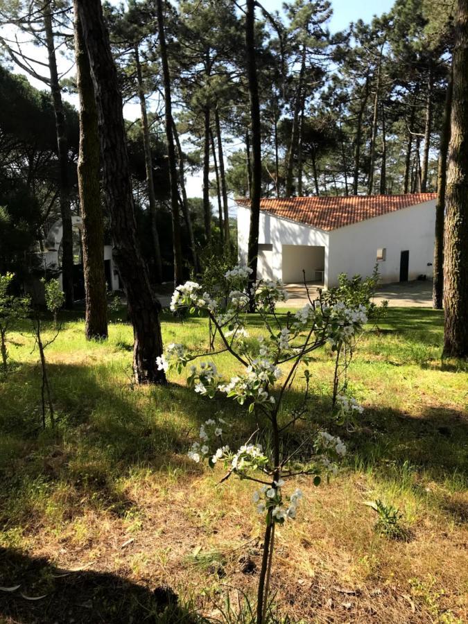Villa Colares Sintra Exterior foto
